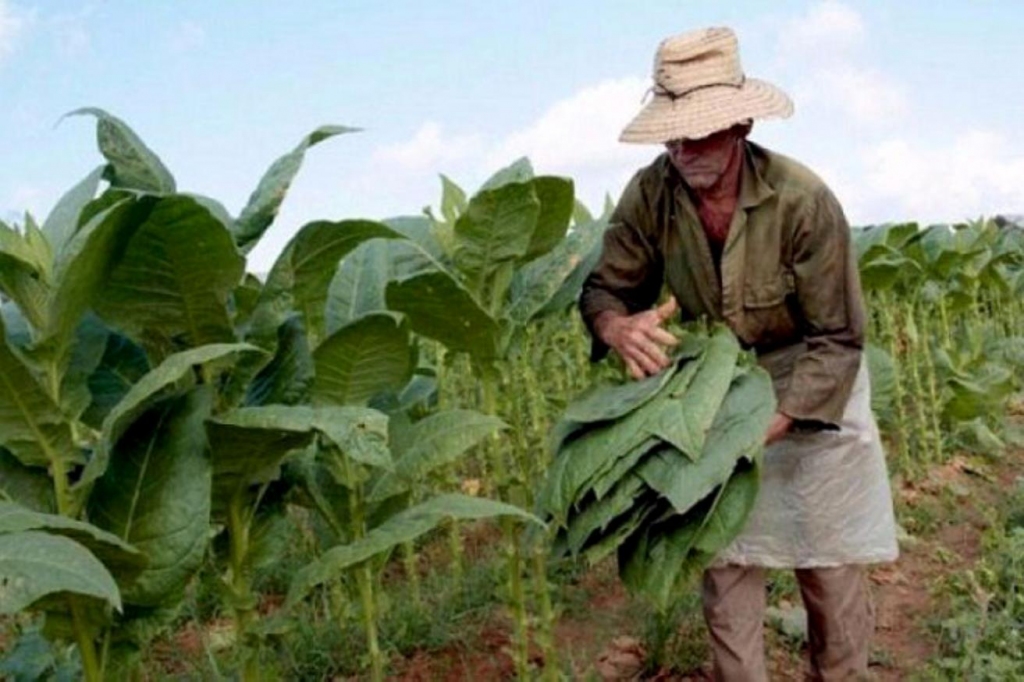 IPT: SALDO DEL SOBREPRECIO ACOPIO 2025
